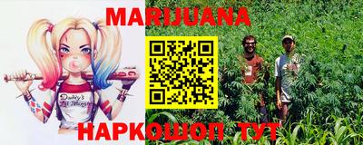 PSILOCYBIN Краснодар