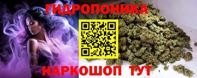 a pvp Краснознаменск