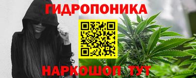 a pvp Краснознаменск